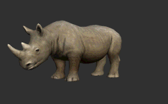 Gif animé rhinocéros tombe